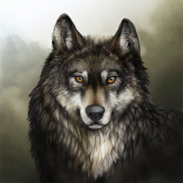 Красивые и прикольные картинки волка на аватарку - скачать бесплатно 13