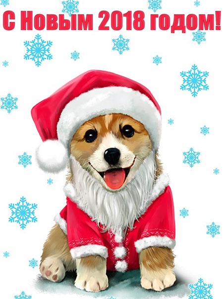 Поздравления С Новым годом собаки 2018 - картинки и открытки 15