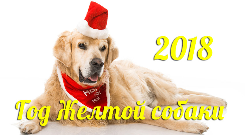 Поздравления С Новым годом собаки 2018 - картинки и открытки 16