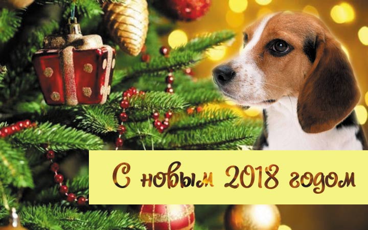 Поздравления С Новым годом собаки 2018 - картинки и открытки 2