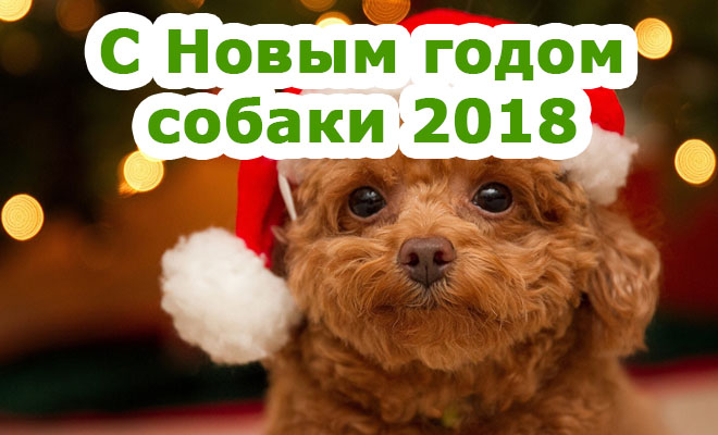 Поздравления С Новым годом собаки 2018 - картинки и открытки 5