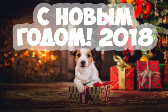 Поздравления С Новым годом собаки 2018 - картинки и открытки 9