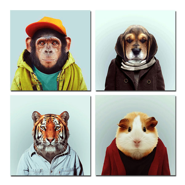 Прикольные и смешные изображения животных - самые веселые №10 5
