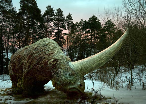 Elasmotherium - огромный волосатый единорог, который обитал на Земле 29 000 лет назад 2