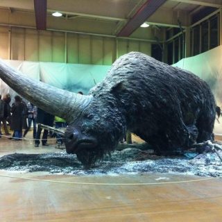 Elasmotherium - огромный волосатый единорог, который обитал на Земле 29 000 лет назад 6