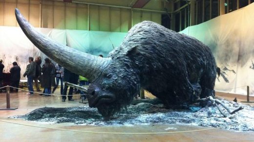Elasmotherium - огромный волосатый единорог, который обитал на Земле 29 000 лет назад 6