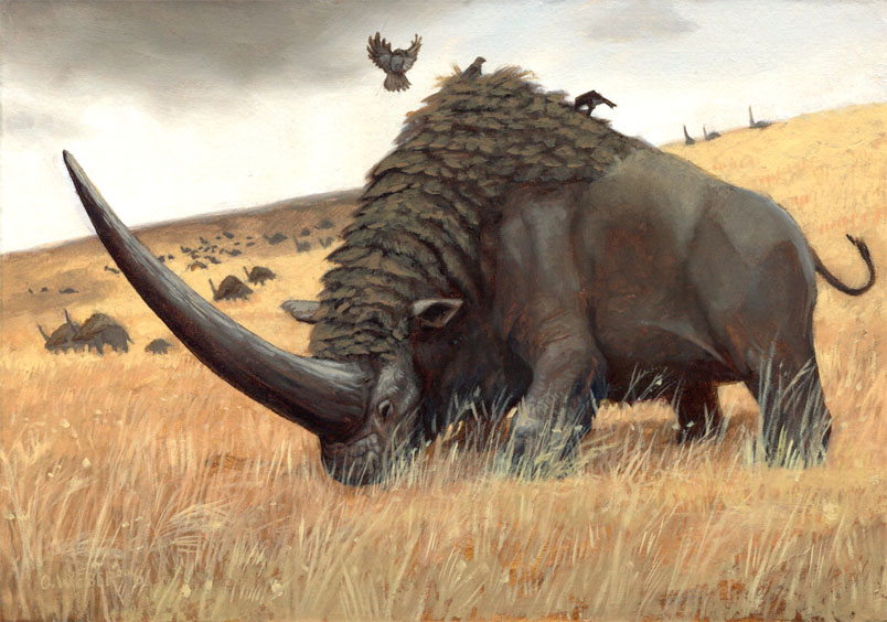 Elasmotherium - огромный волосатый единорог, который обитал на Земле 29 000 лет назад 8