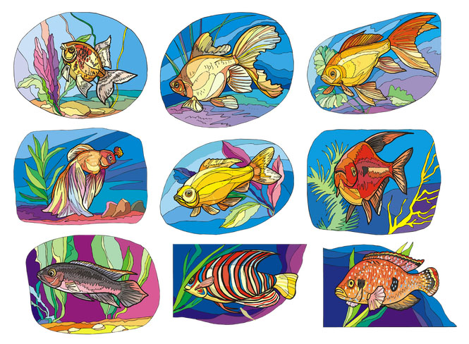 Красивые и прикольные картинки рыб для детей - лучшая подборка 3