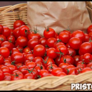 Выращиваем помидоры «черри» в домашних условиях - уход и высадка 2