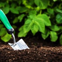 Как снизить кислотность почвы на огороде - несколько рекомендаций 2