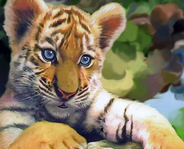 Тигры фото животных, самые необычные и удивительные картинки 17