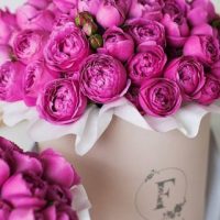 Картинки на телефон букеты и цветы - самые красивые и удивительные 10