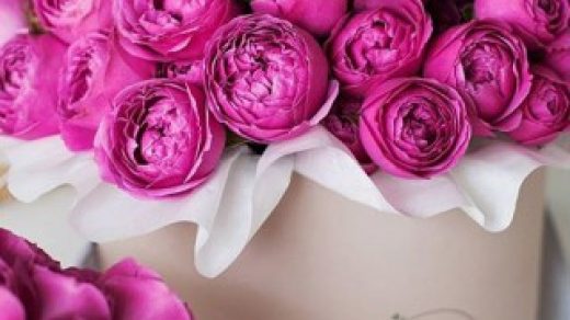 Картинки на телефон букеты и цветы - самые красивые и удивительные 10