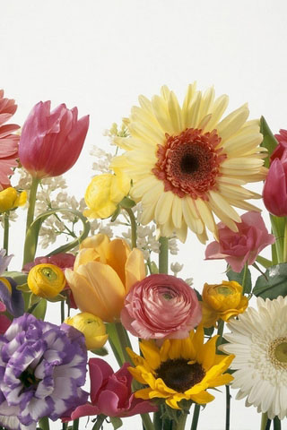 Картинки на телефон букеты и цветы - самые красивые и удивительные 8