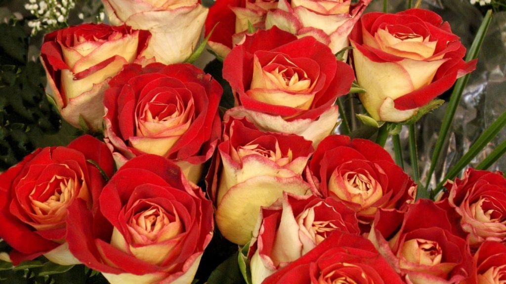 Красивые цветы и букеты на рабочий стол - скачать обои 2018 №6 6