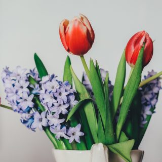 Красивые цветы и букеты на рабочий стол - скачать обои 2018 №6 7