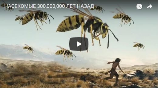 Насекомые, которые жили на Земле 300 000 000 лет назад - видео