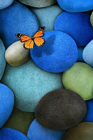 Прикольные и красивые картинки на телефон бабочки - подборка 1