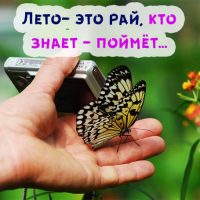 Наконец то пришло лето картинки