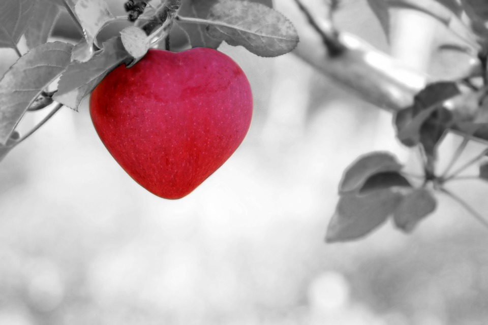 Красивые картинки сердце о любви - очень интересные и приятные 5