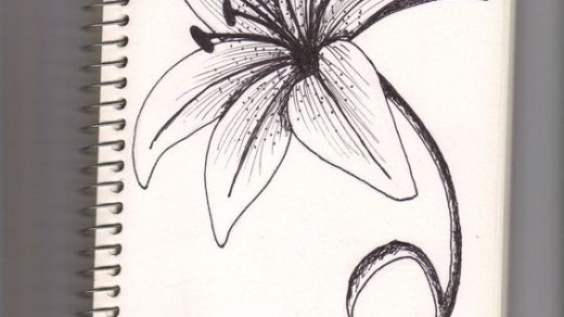 Картинки для срисовки цветы, цветочки - красивые и прикольные 4