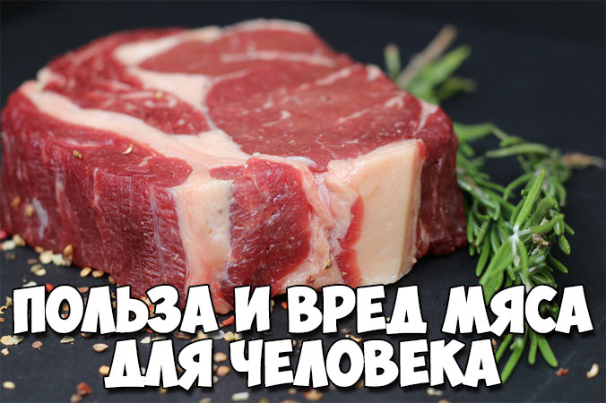 Польза и вред мяса для человека. Основные полезные свойства 1