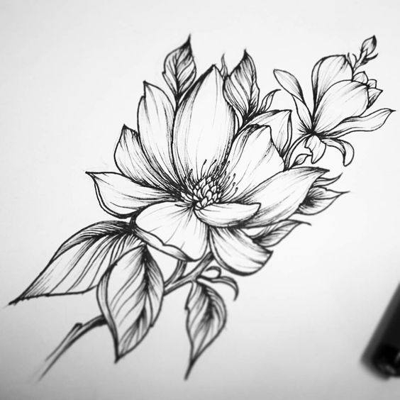 Картинки для срисовки цветы, цветочки - красивые и прикольные 5
