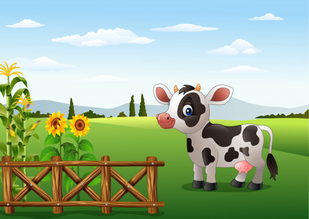 Красивые картинки коровы для детей и малышей - сборка 1
