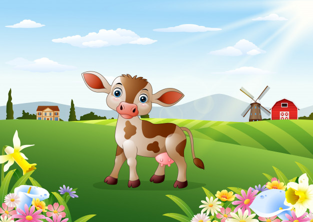Красивые картинки коровы для детей и малышей - сборка 12
