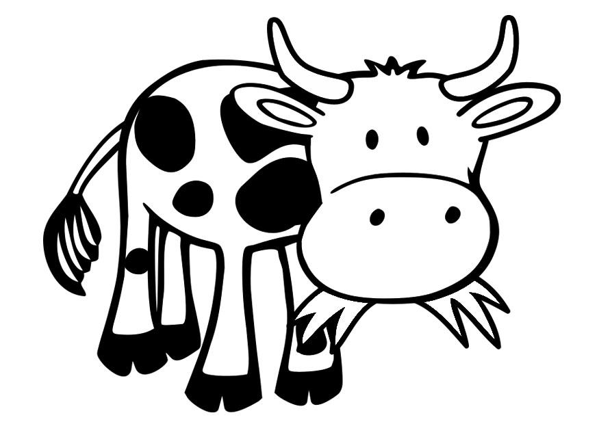 Красивые картинки коровы для детей и малышей - сборка 14
