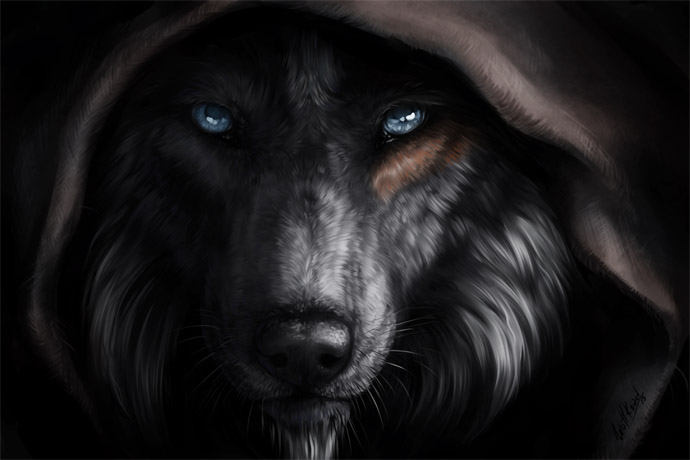 Прикольные и красивые арт картинки волка. Нарисованный волк, фэнтези 10