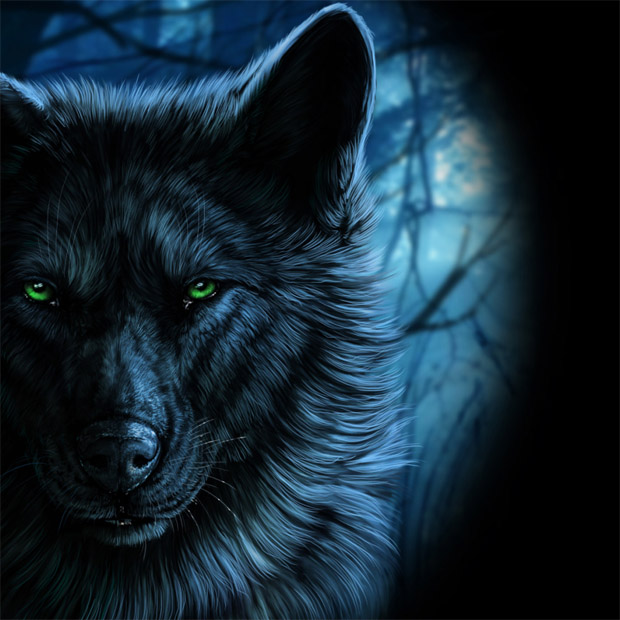 Прикольные и красивые арт картинки волка. Нарисованный волк, фэнтези 20
