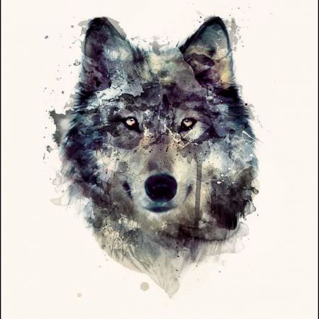 Прикольные и красивые арт картинки волка. Нарисованный волк, фэнтези 7