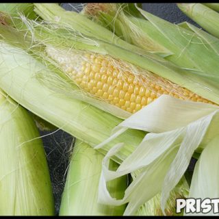 Как варить кукурузу в початках - лучший рецепт приготовления 1