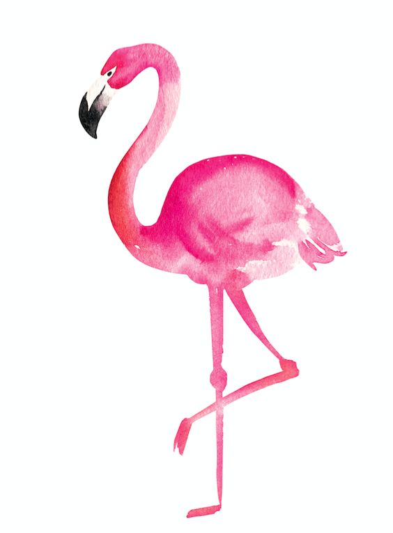 Красивые картинки фламинго для срисовки - интересная подборка 1