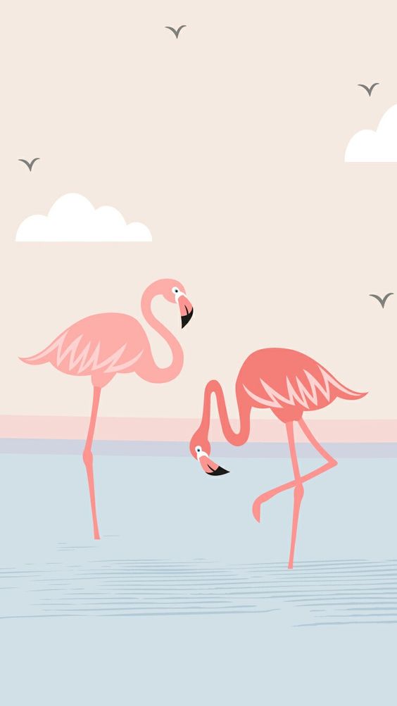 Красивые картинки фламинго для срисовки - интересная подборка 11