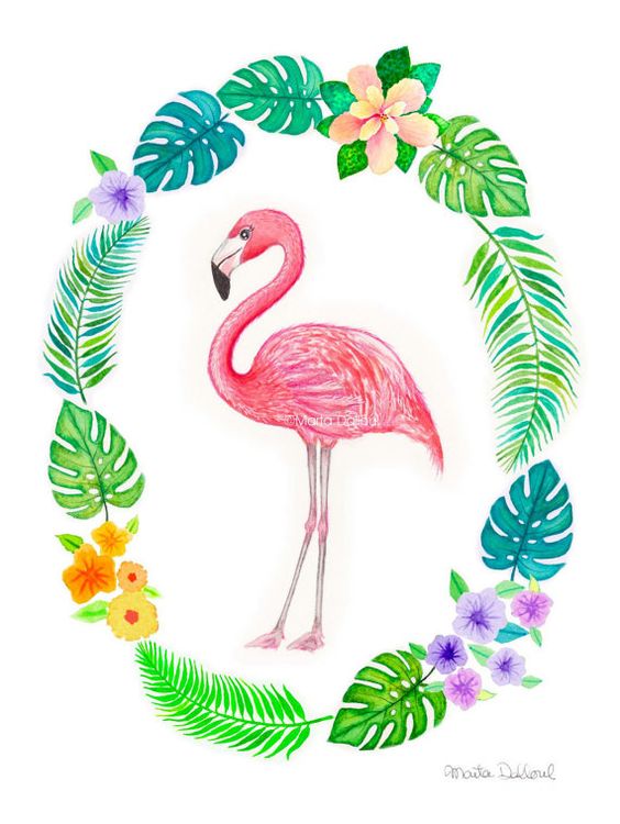 Красивые картинки фламинго для срисовки - интересная подборка 7