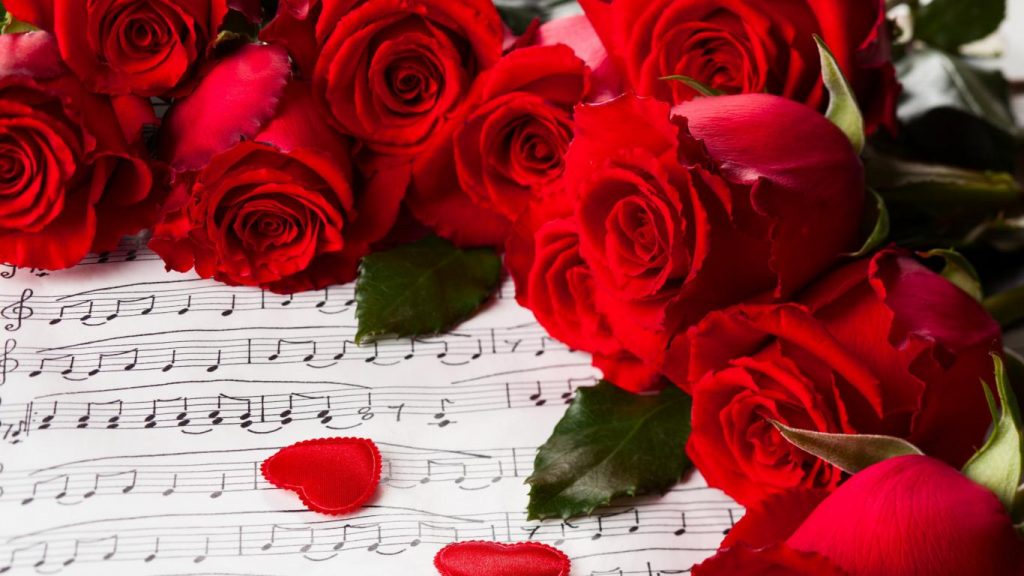 Красивые обои розы на рабочий стол - интересная коллекция 14