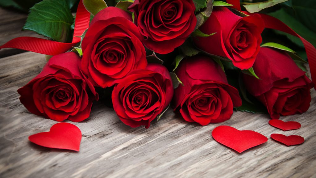 Красивые обои розы на рабочий стол - интересная коллекция 16
