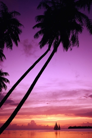 Крутые и красивые картинки на телефон закат, закат Солнца 1