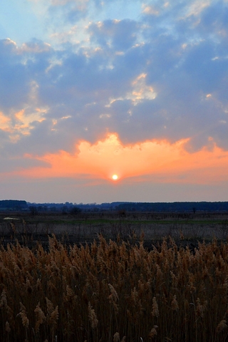 Крутые и красивые картинки на телефон закат, закат Солнца 12