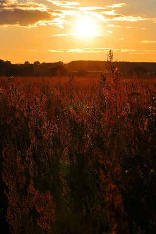 Крутые и красивые картинки на телефон закат, закат Солнца 17