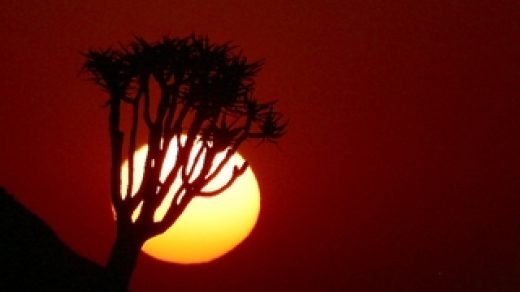 Крутые и красивые картинки на телефон закат, закат Солнца 22
