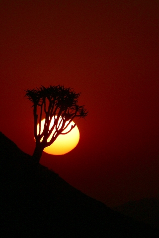 Крутые и красивые картинки на телефон закат, закат Солнца 22