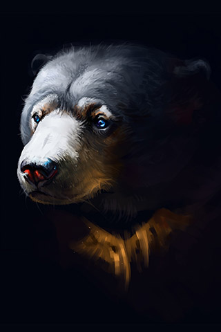 Картинки на телефон медведи, аватарки с медведями - подборка 13