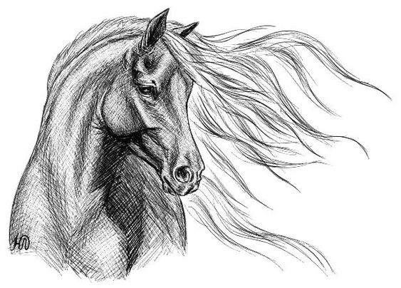 Красивые картинки для срисовки карандашом лошади или пони 10