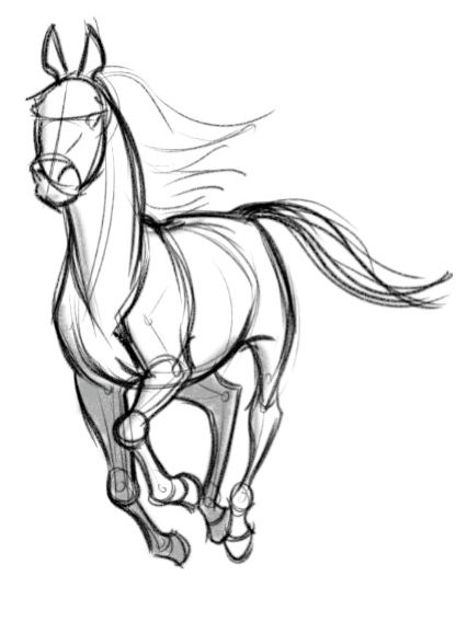 Красивые картинки для срисовки карандашом лошади или пони 13