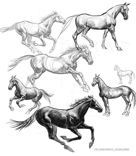Красивые картинки для срисовки карандашом лошади или пони 21