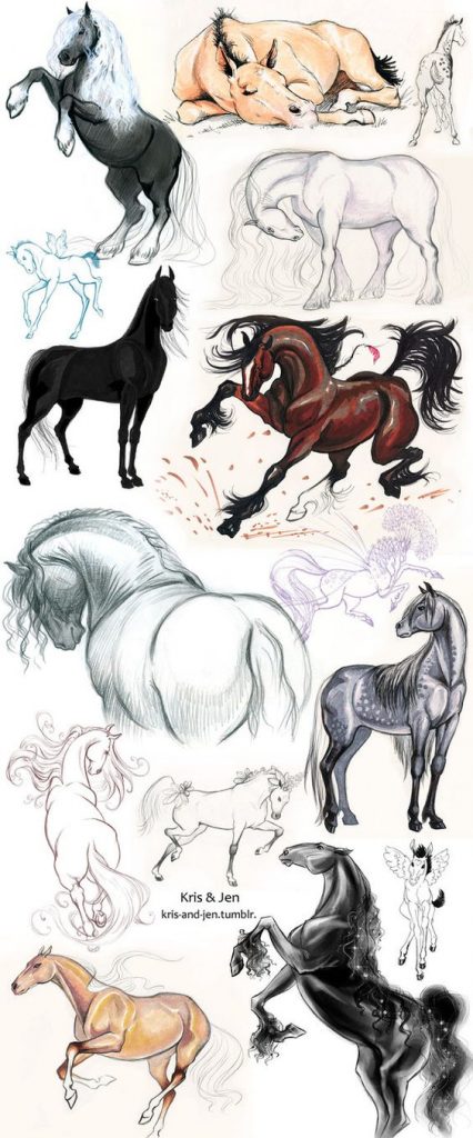Красивые картинки для срисовки карандашом лошади или пони 5
