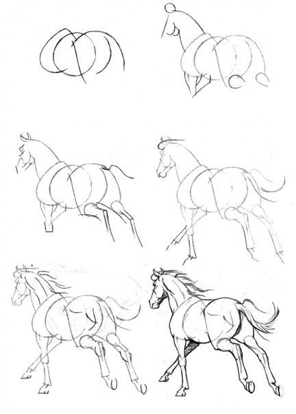 Красивые картинки для срисовки карандашом лошади или пони 6
